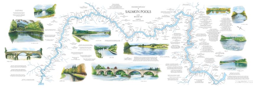River Tay Salmon Pools map