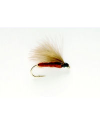 F Fly - Brown - Size 14