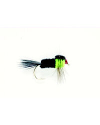 Green Fluo Weighted Montana