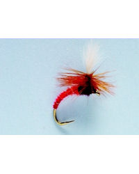 Terrys Emerger Red